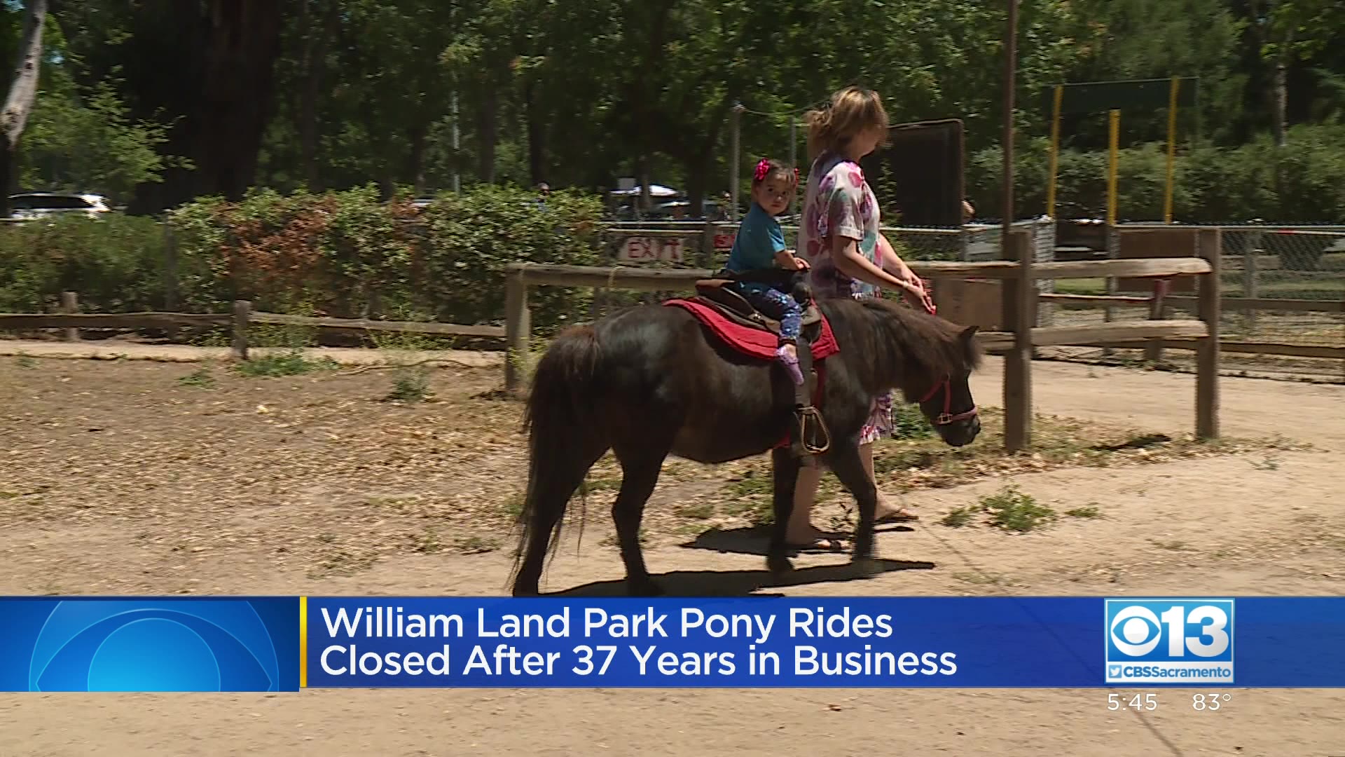 Land Park Pony Rides Officially Closes – CBS Sacramento