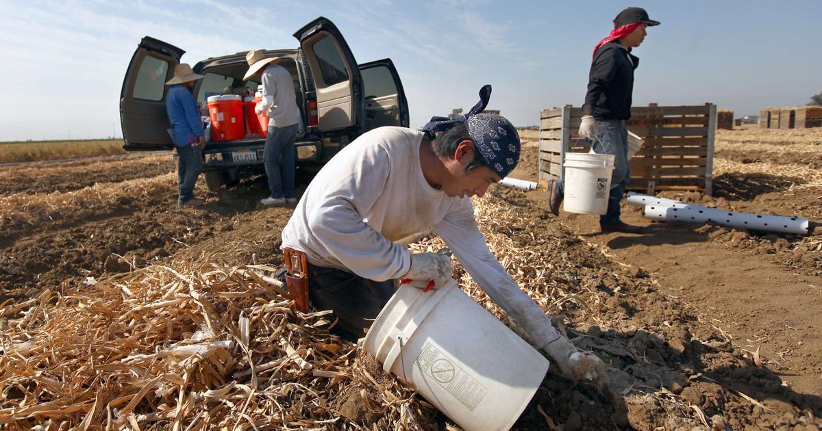 Activists renew attention on farmworkers' heat illness risks | News