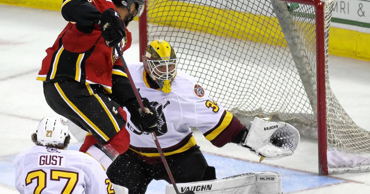 With 3-0 victory over Stockton, Wolves one win away from AHL Finals