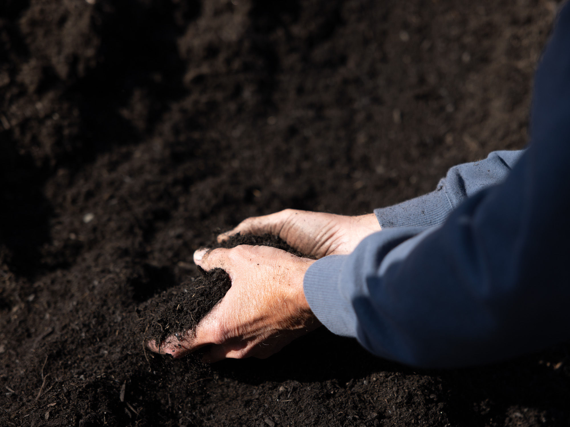 Composting starts soon in Sacramento County.  Here's what you need to know.