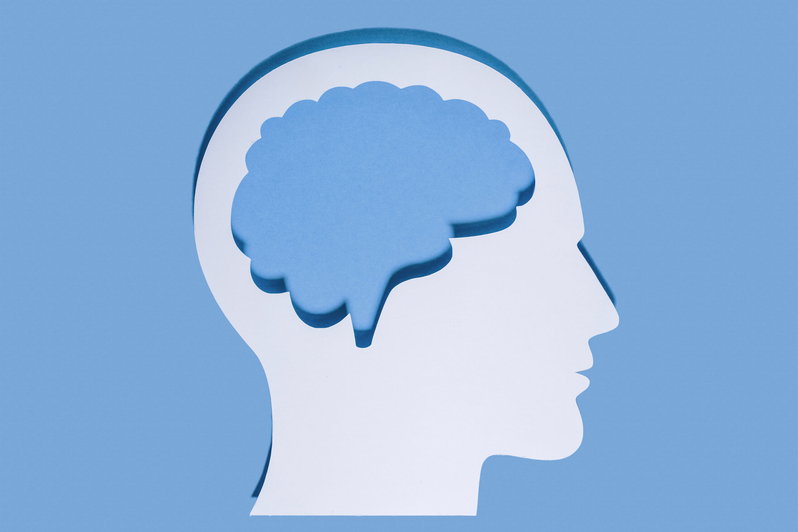 An illustration shows the outline of a human head with a brain inside it.