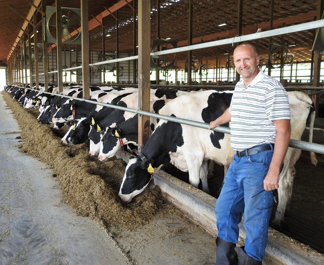 Bill Daugherty with some of the 300 cows at Daugherty Farms in Fresno.  They milk about 250 cows per day and get around 95 pounds of milk, which currently goes to a bottler in Charleston, West Virginia.  Bill said milk prices have never been higher, but neither has everything that goes into running a dairy farm from fuel to fertilizer.