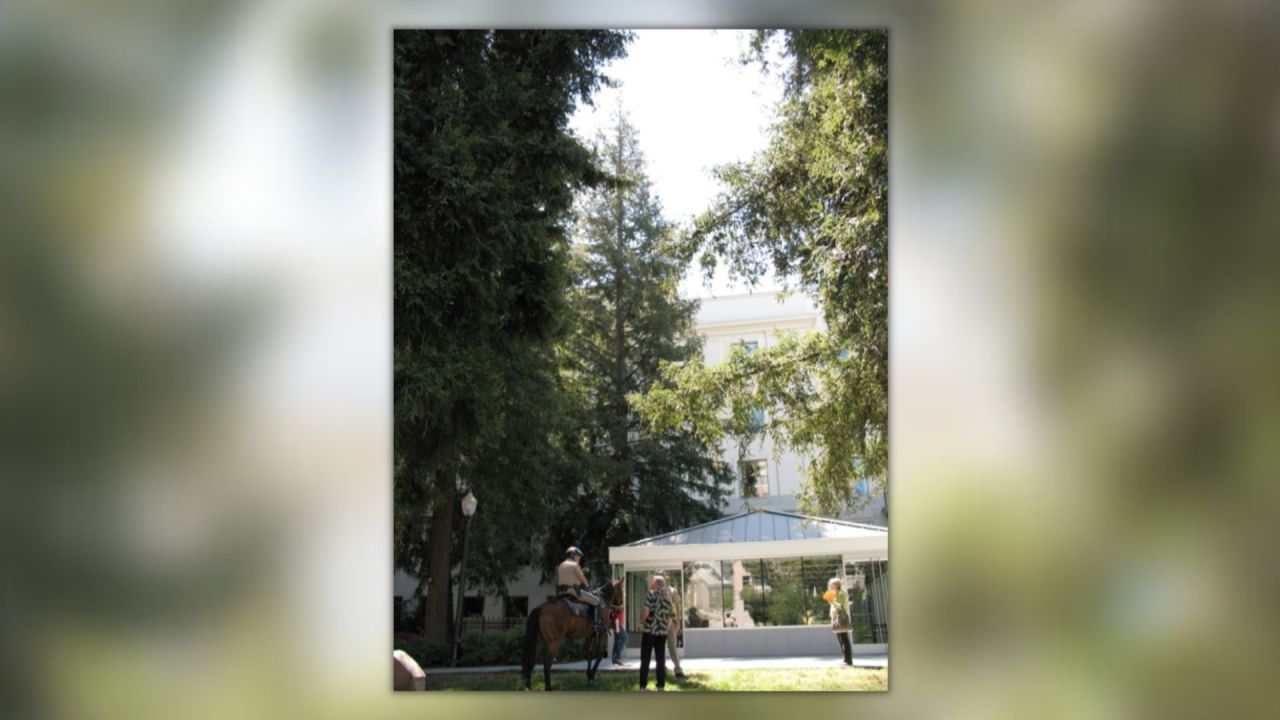 Capitol Park's Moon Tree, a monument to a Forest Service smoke jumper