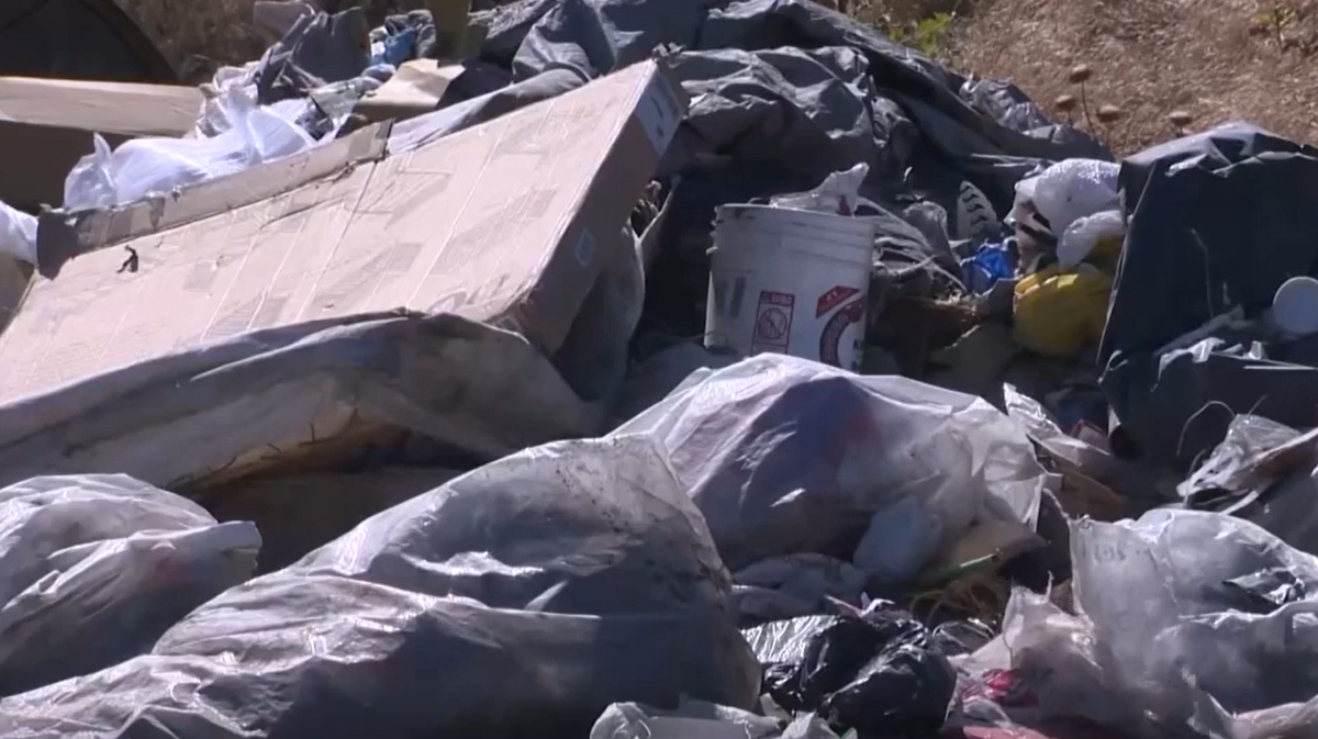 California's governor opposes judge halting clearing of homeless camp