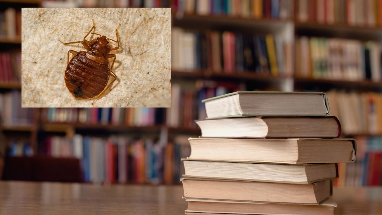 Two Sacramento libraries find bed bugs in books