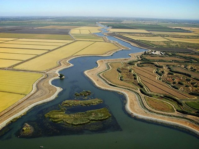 Move afoot in Congress to block Delta tunnel project
