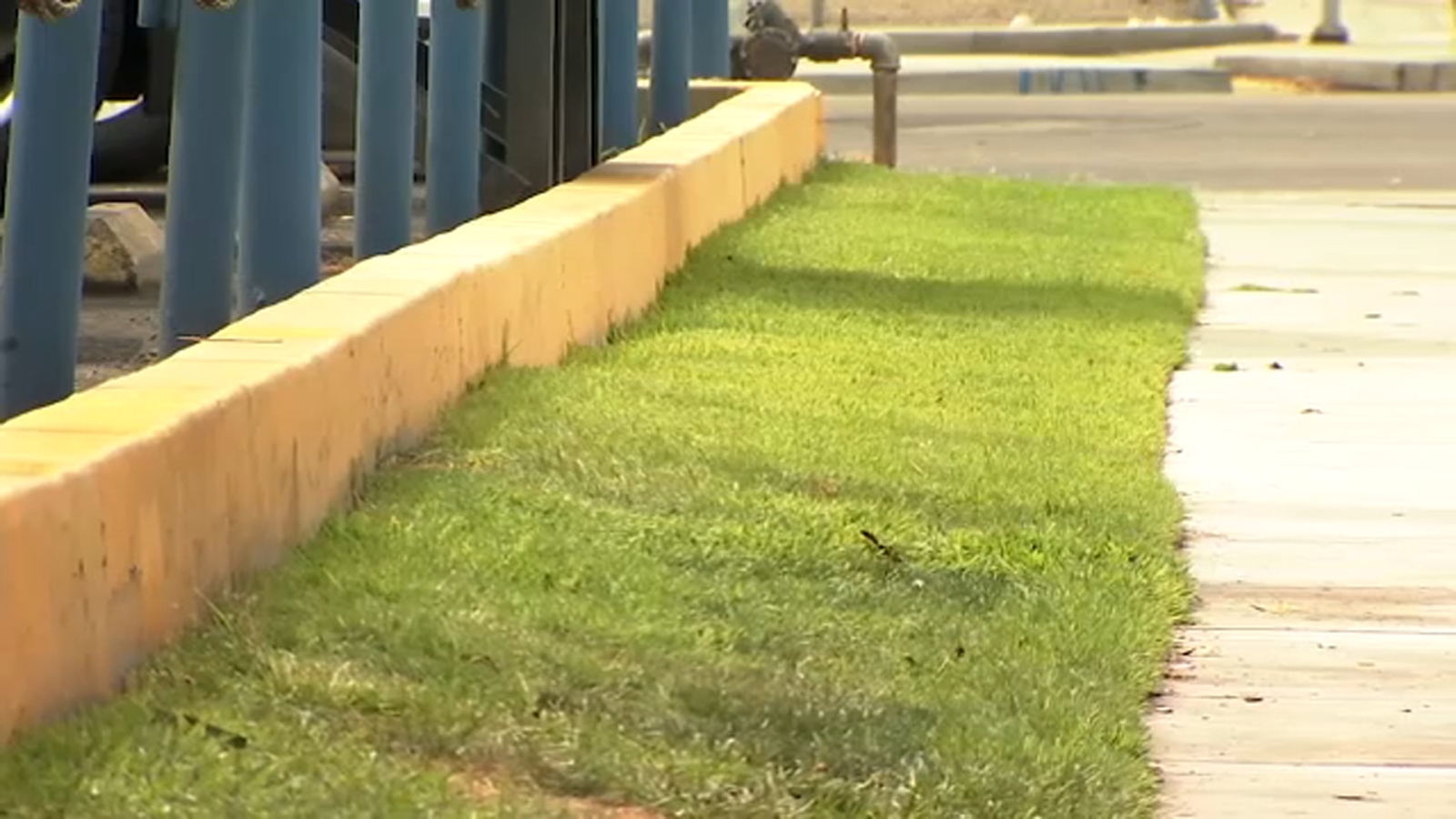 Fresno businesses face watering restrictions