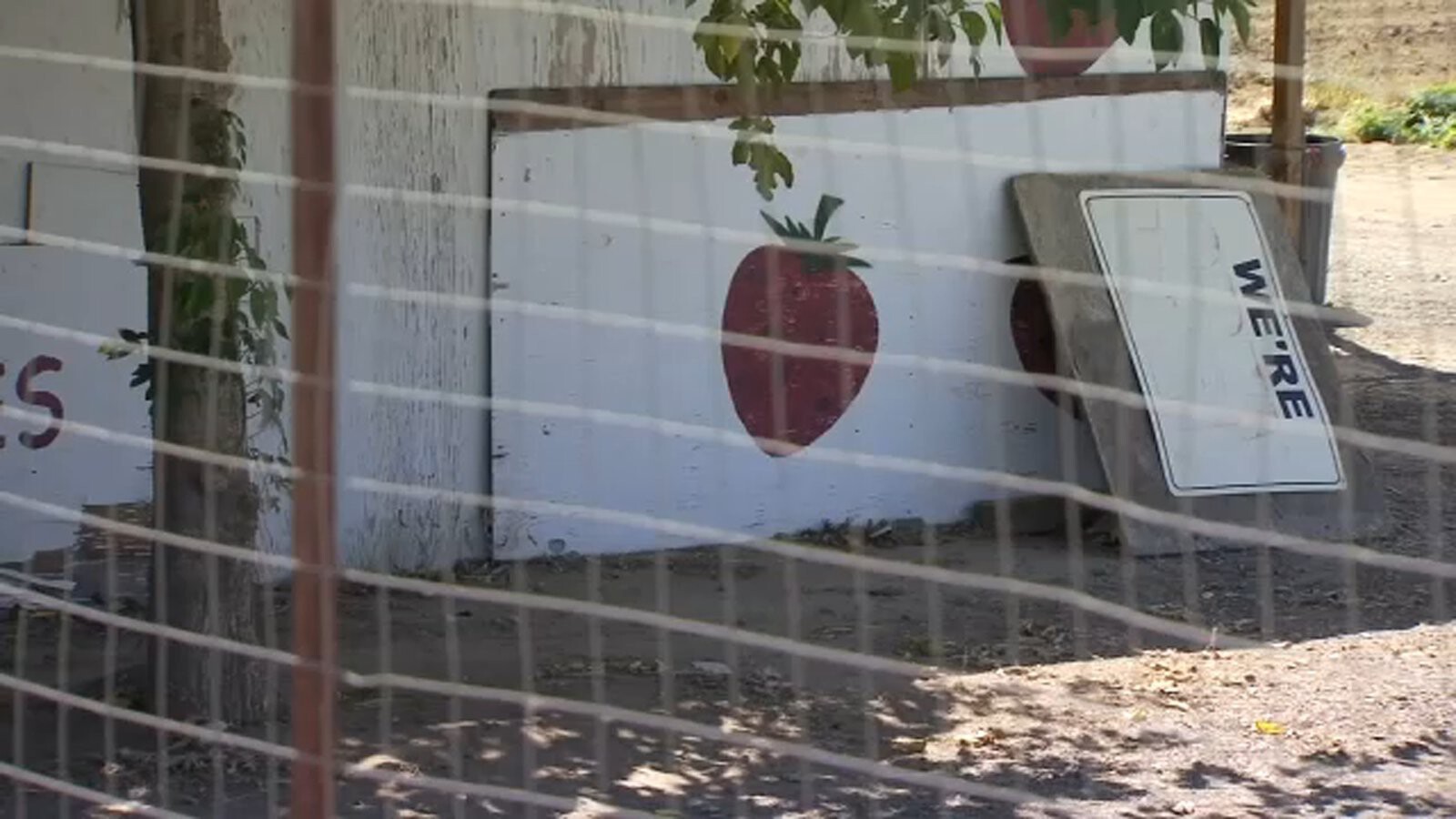 Customers mourn after Fresno County produce stood shuts down for good