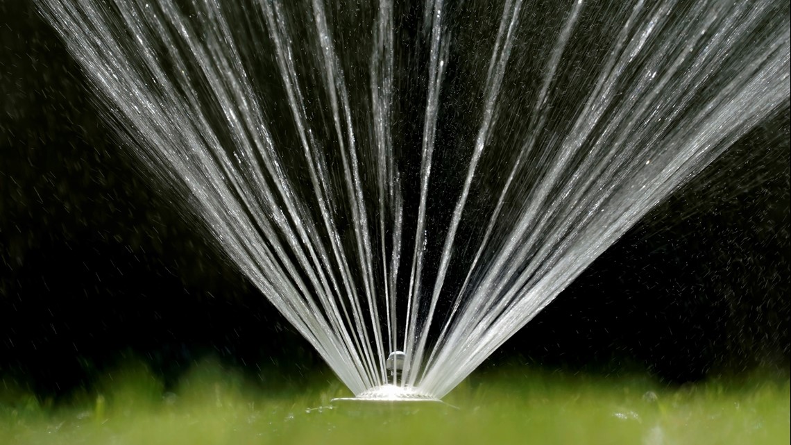 Lawn conversion, xeriscapes and the future of landscaping in CA