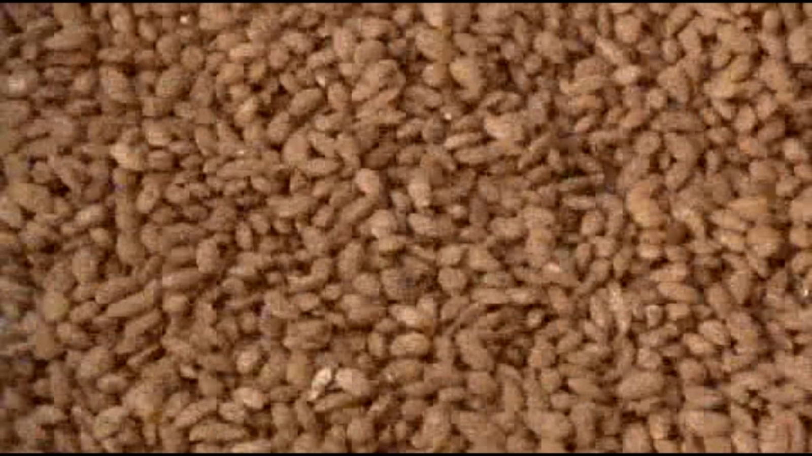 Sacramento-based Blue Diamond Growers recalling nearly 350,000 pounds of almonds after testing for salmonella, FDA says