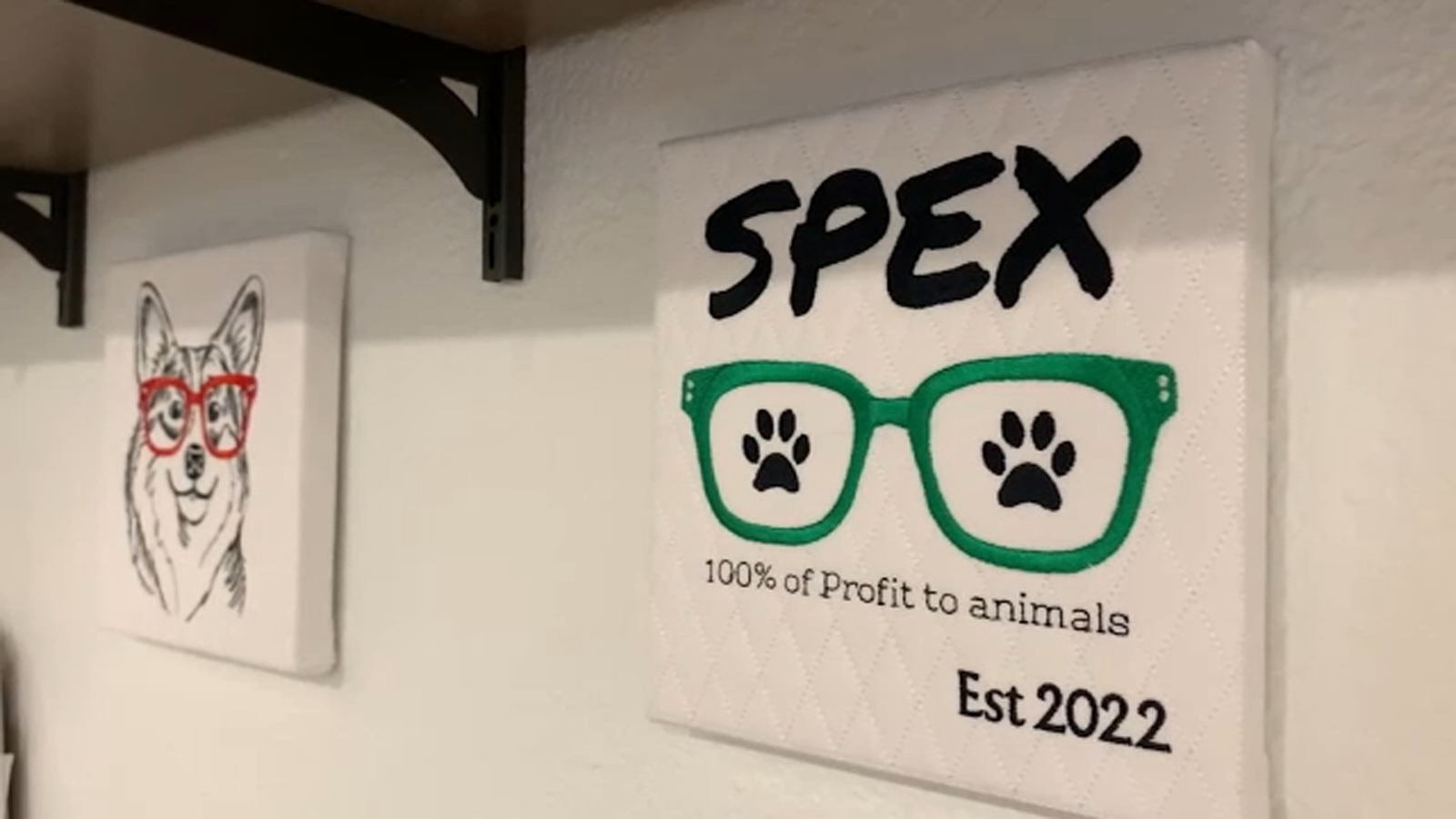 Valley eyewear business supports local animal shelters