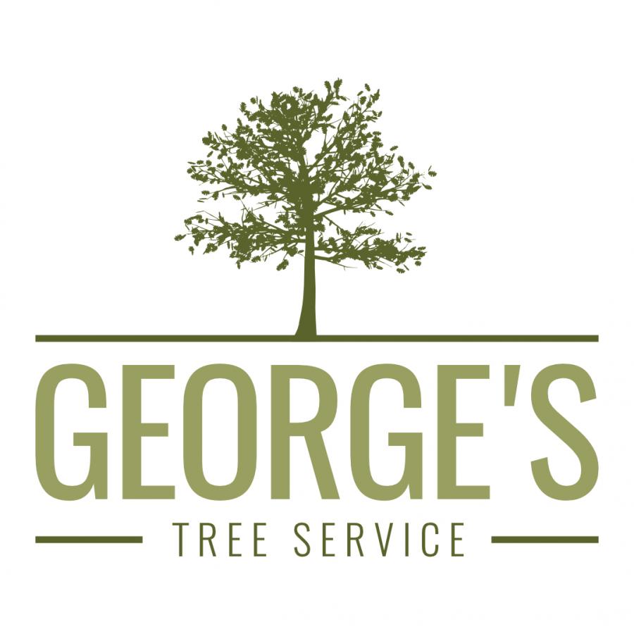 George's Tree Service Assist Fresno Property Owners with Tree Trimming & Pruning