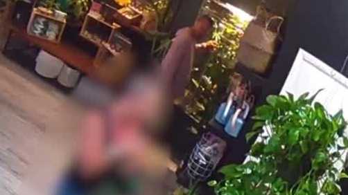 Stockton plant nursery owner says thieves stole rare $300 plant