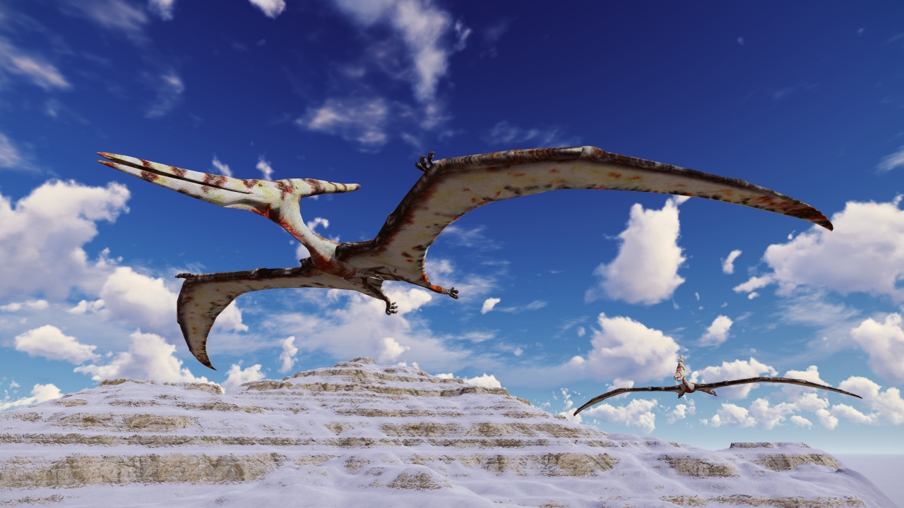 Was a pterosaur really spotted in the Fresno sky?