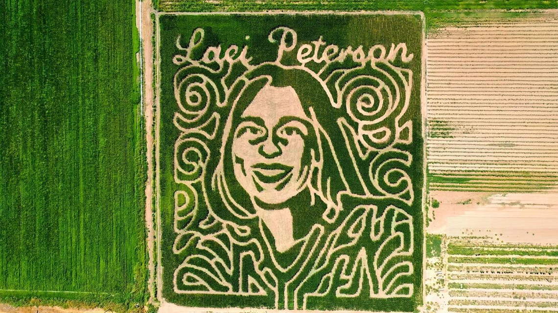 Dutch Hollow Farms corn maze depicts face of Laci Peterson