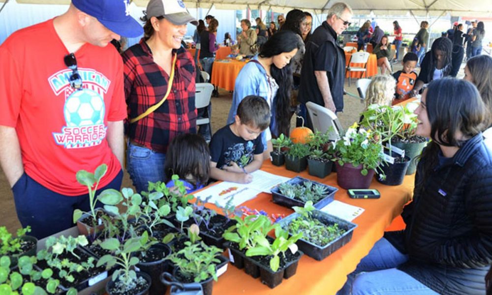 Fall Festival Kicks off Food, Family and Farm Month at Fresno State - GV Wire