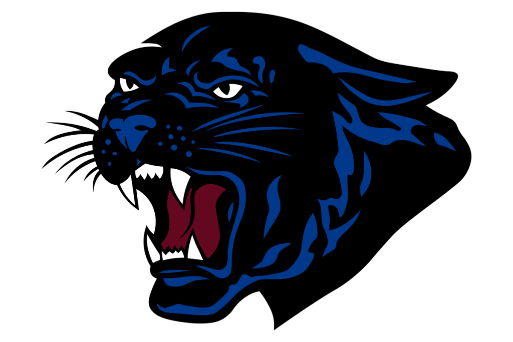 Football Roundup: Panther JV, freshman roll Monahans