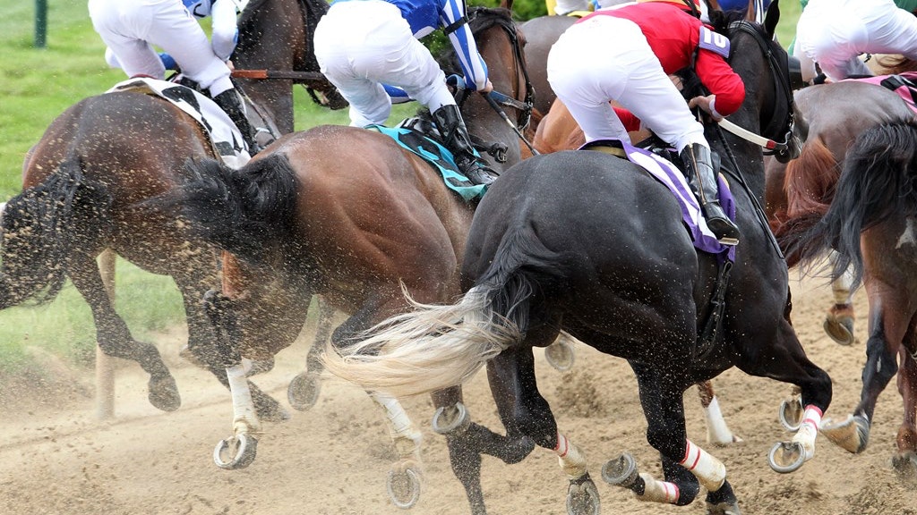 Fresno: A horse to key in the mandatory payout Pick 6 and Super High 5