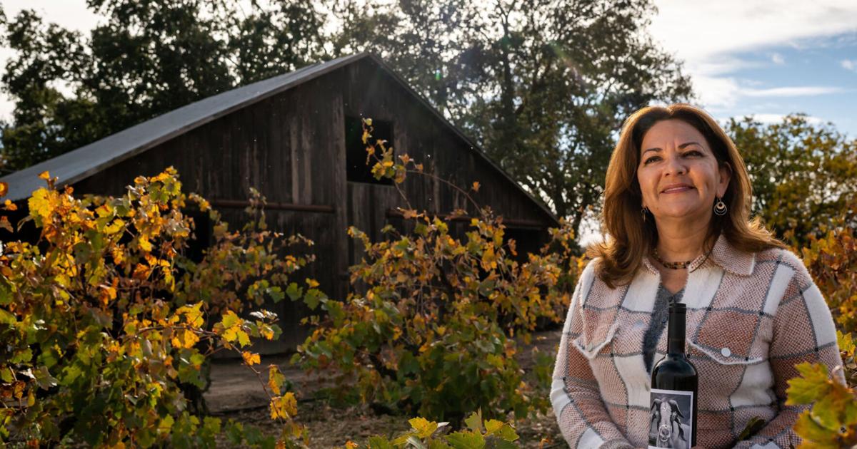 What are the best hidden – and affordable – wine regions around Sacramento?  See these 6 spots |  Travel