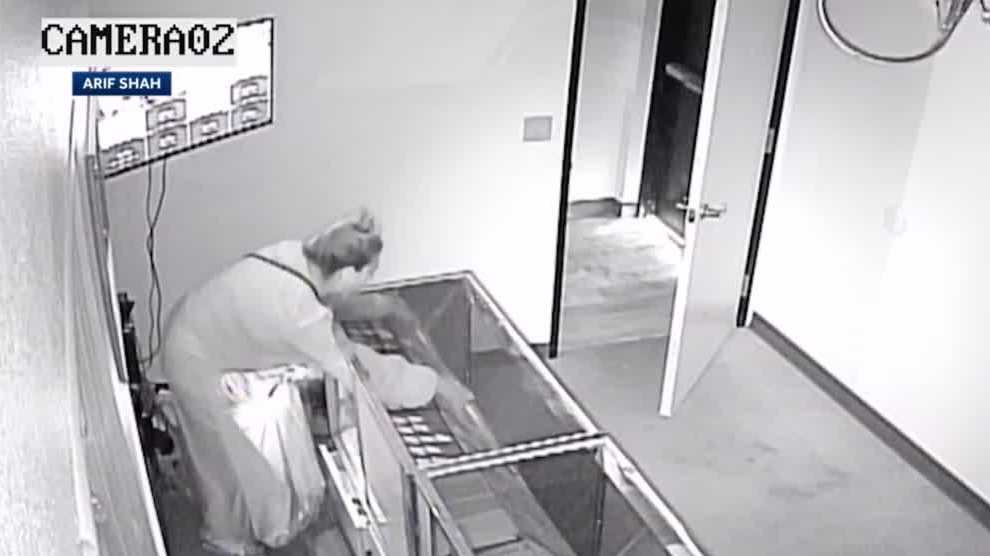 Woman steals $90K worth of jewelry from Sacramento store, owners say