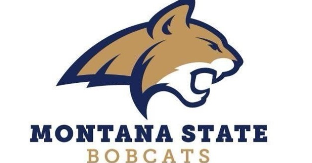 Little tweak helps Montana State volleyball beat Sacramento State |  MSU Bobcats
