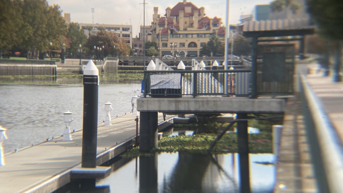 Stockton college students working to tackle water hyacinth issue