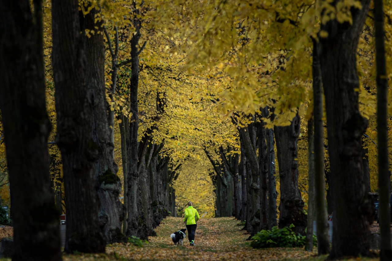 Rain and snow expected after windy and dry Thanksgiving, NWS says