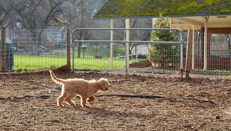 Changes to Sacramento New Dog Park Upset Dog Parents