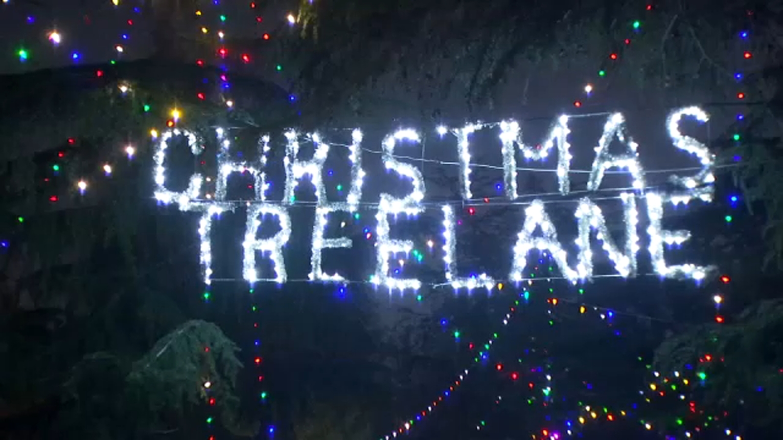 Fresno's Christmas Tree Lane brings holiday cheer for 100th year