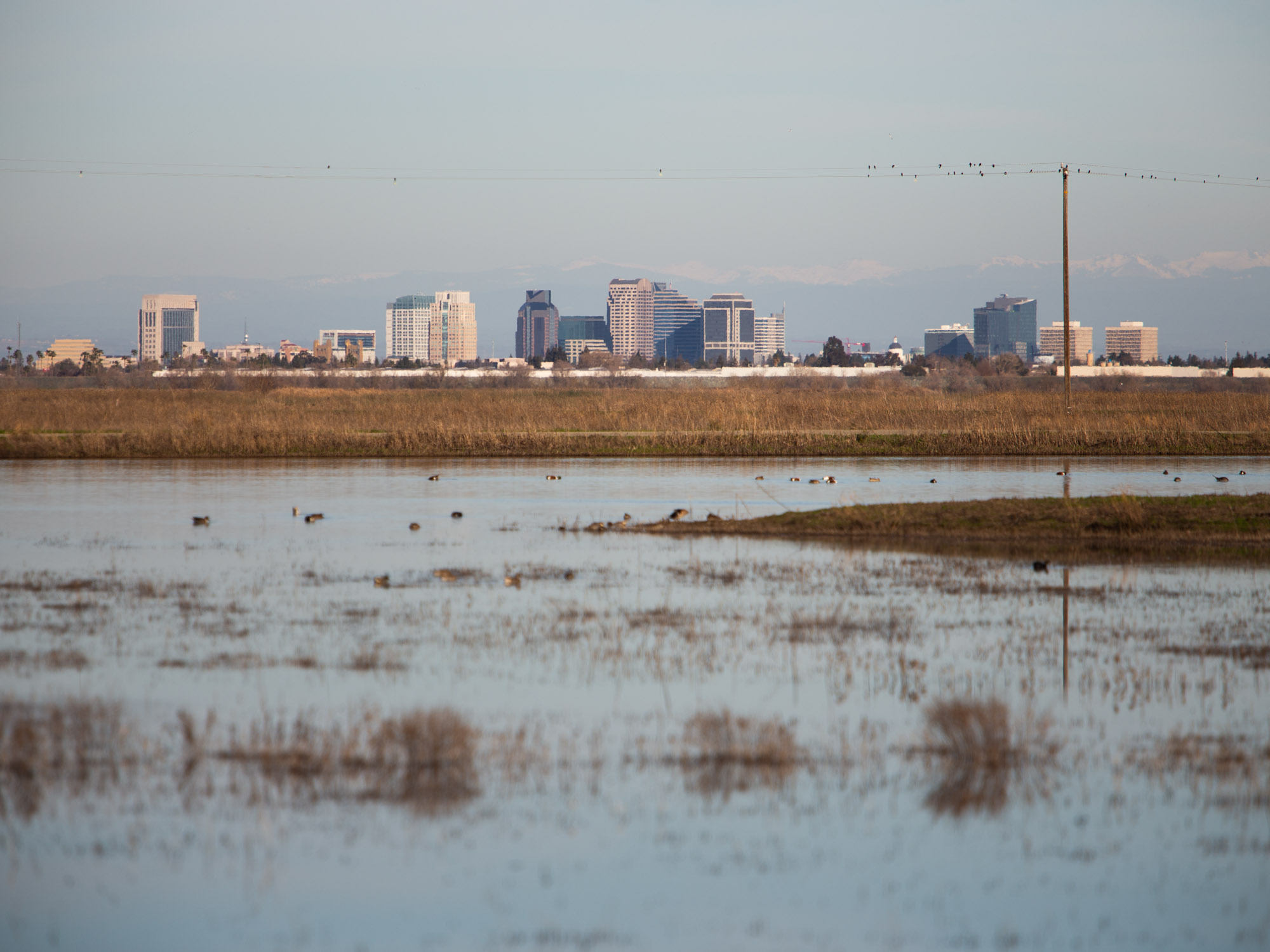 Climate task force aims to keep Sacramento County on track for cutting emissions