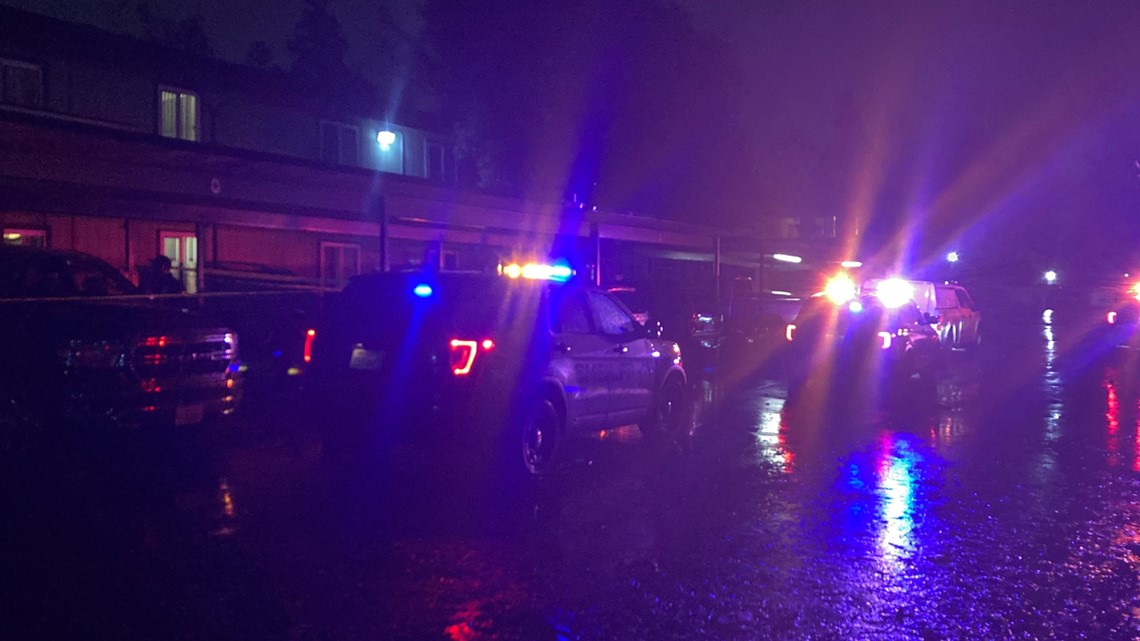 Deadly fight leaves one person dead in South Sacramento