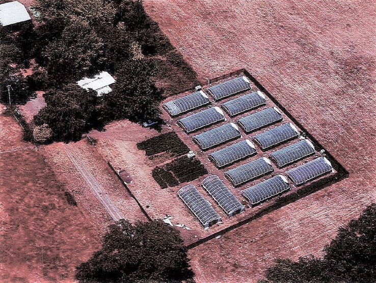 Man held in attempted murder at Covelo grow site – The Willits News
