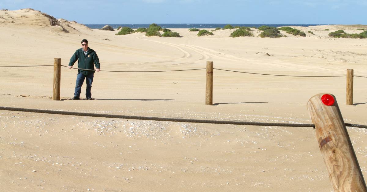 Worimi Conservation Lands: Stockton beach shut to 4WDs over Christmas 2022 due to weather, sea conditions |  Newcastle Herald