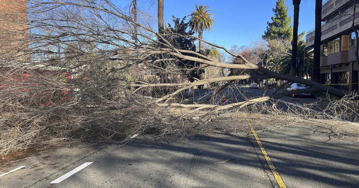 Storm Watch: Sacramento begins recovery efforts after New Year's Eve storm