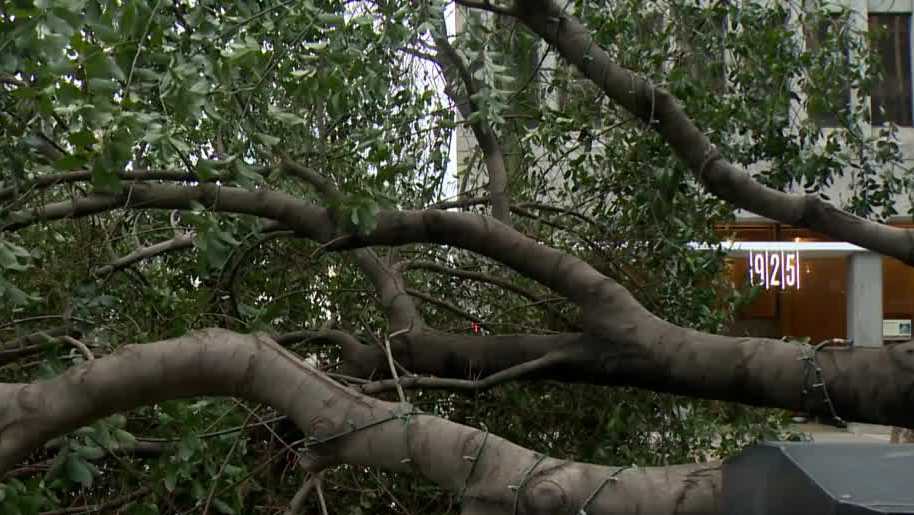 Northern California prepares for Wednesday rain, damaging winds