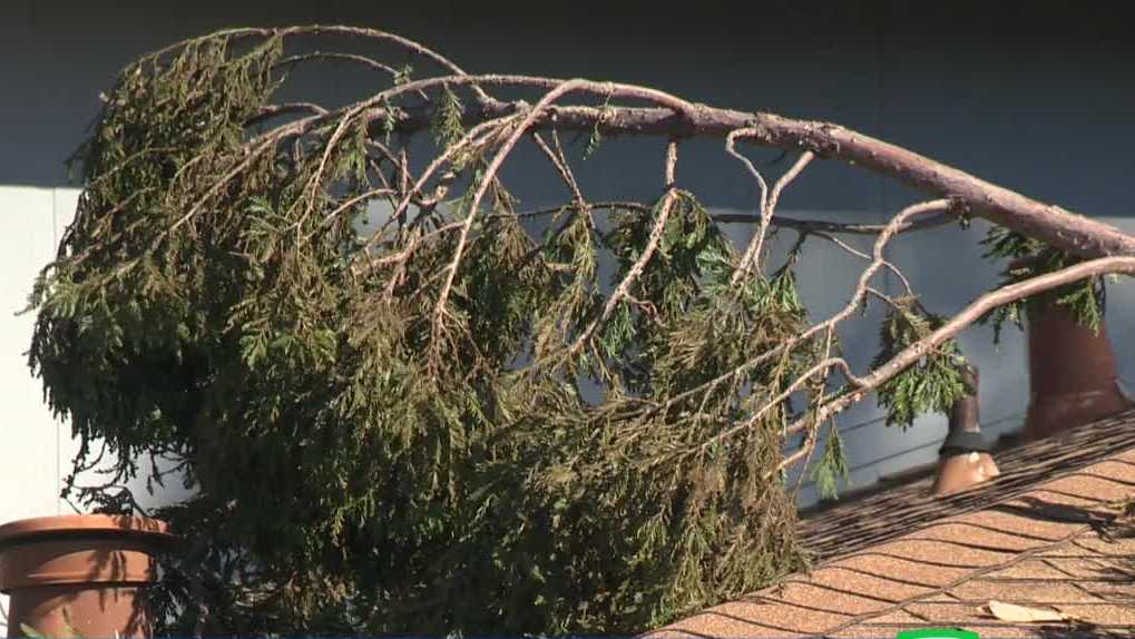 South Sacramento family frustrated with lack of storm cleanup